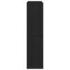 vidaXL Shoe Rack Black 60x25x100 cm Engineered Wood