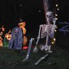 vidaXL Halloween Skeleton 2 pcs White 85 cm PVC