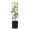 vidaXL Tomato Cages with Plant Bags 4 pcs 154 cm Steel and PP