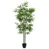 Product Thumbnail Image 3 of 7
