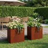 Product Thumbnail Image 2 of 11