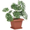 Product Thumbnail Image 3 of 12