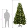 Product Thumbnail Image 12 of 12