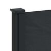 vidaXL Retractable Side Awning Black 117x300 cm