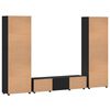 vidaXL TV Cabinet Set with Drawer FLORIN Black Engineered Wood