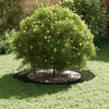 Product Thumbnail Image 3 of 9