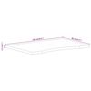 vidaXL Desk Top with Curve 100x80x2.5 cm Solid Wood Rough Mango