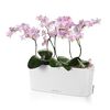 LECHUZA Planter DELTA 10 ALL-IN-ONE High-gloss White