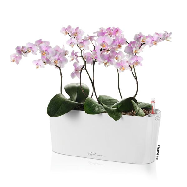 LECHUZA Planter DELTA 10 ALL-IN-ONE High-gloss White