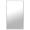 vidaXL Mirror Silver 100x60 cm