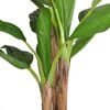 Product Thumbnail Image 2 of 2