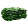 vidaXL Balcony Screen with Green Leaves 600x150 cm