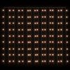 vidaXL LED Curtain Fairy Lights 3x3m 300 LED Warm White 8 Function