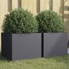 Product Thumbnail Image 2 of 11