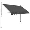 vidaXL Manual Retractable Awning with LED 250 cm Anthracite