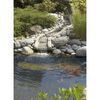 Product Thumbnail Image 2 of 4