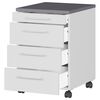 Germania Rolling Cabinet GW-Profi 2.0 42x49x61 cm Light Grey and Graphite