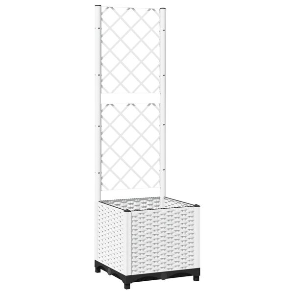 Showing Product Image 2 of 8