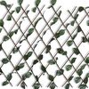 Product Thumbnail Image 3 of 7