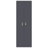 vidaXL Storage Cabinet with Storage 2 pcs Anthracite 60 x 40 x180 cm