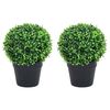 vidaXL Artificial Boxwood Plants 2 pcs with Pots Ball Shaped Green 37 cm