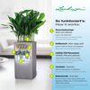 LECHUZA Planter CANTO Stone 40 High ALL-IN-ONE Stone Grey