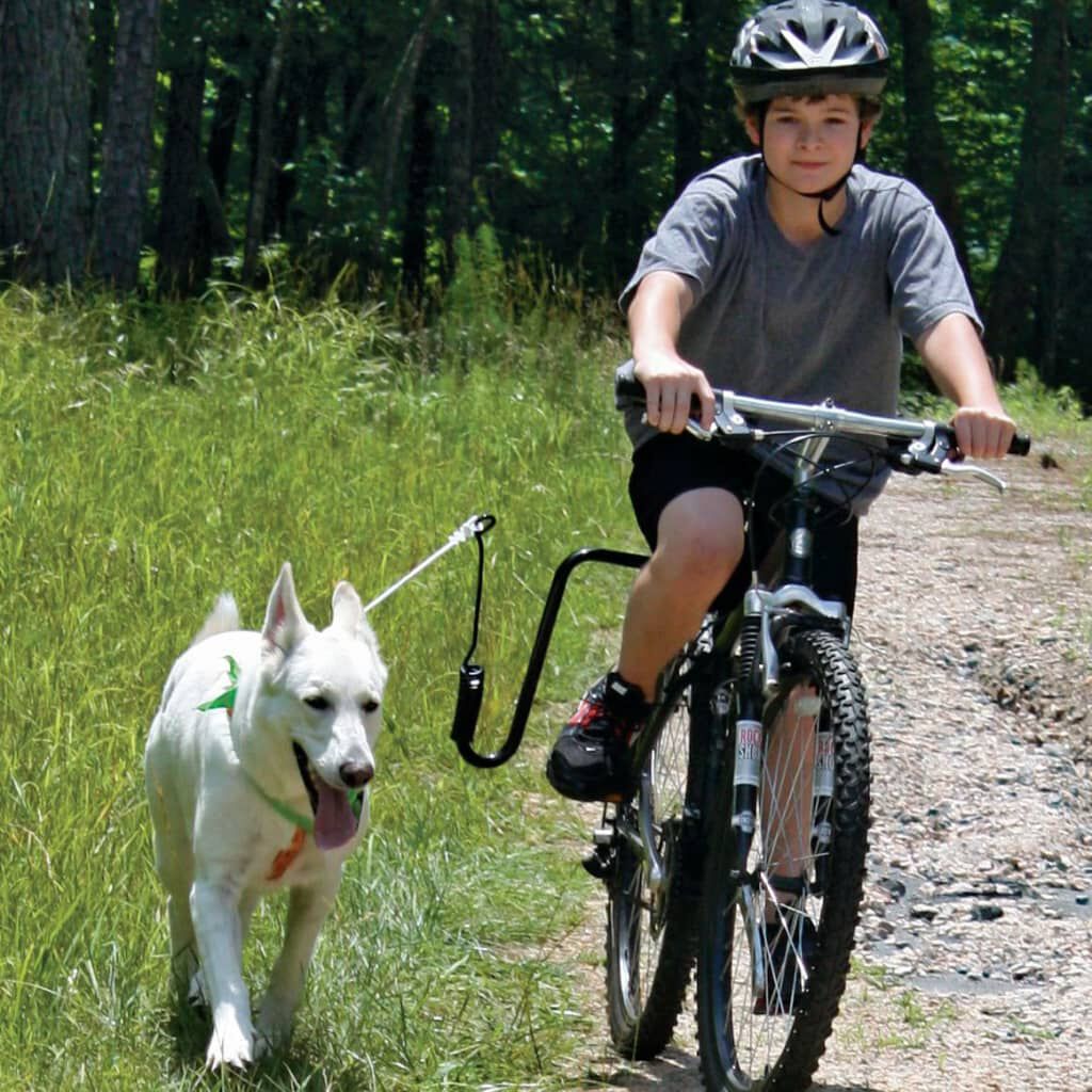 Springer dog bike online attachment