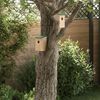 vidaXL Bird Houses 10 pcs Solid Firwood 12x12x22 cm
