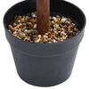 Product Thumbnail Image 4 of 5