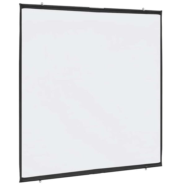 vidaXL Projection Screen Wall-Hanging 81 Inch 1:1