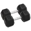 vidaXL Dumbbells 2 pcs 15 kg Total Cast Iron