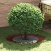 Product Thumbnail Image 2 of 12