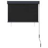 vidaXL Outdoor Roller Blind 100x250 cm Anthracite