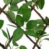 Product Thumbnail Image 5 of 6