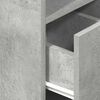 vidaXL Bedside Cabinets 2 pcs with Drawer Concrete Grey 25x31x66 cm