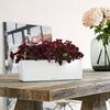 LECHUZA Planter CUBE Glossy Triple ALL-IN-ONE High-gloss White