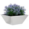 Product Thumbnail Image 3 of 14