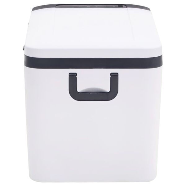 vidaXL Cool Box with Handle Black and White 18 L PP & PE