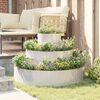 Product Thumbnail Image 4 of 12