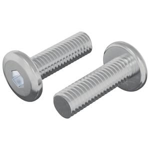 vidaXL Screw 2 pcs Silver 8 x 25 mm Steel
