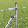 Product Thumbnail Image 5 of 17