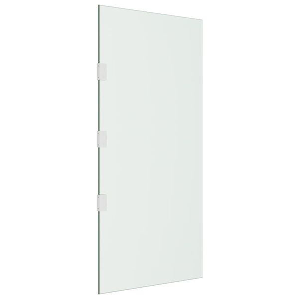 vidaXL Side Panel for Door Canopy Transparent 50x100 cm Tempered Glass