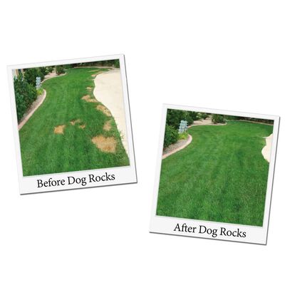 Dog Rocks Anti-Urine Stains Rocks for Dogs