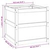 Product Thumbnail Image 12 of 12