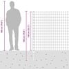 Product Thumbnail Image 7 of 7