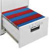 vidaXL Filing Cabinet Light Grey 46x62x164 cm Steel