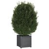 vidaXL Garden Planters 2 pcs Grey 40x40x40 cm Solid Pinewood