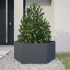 Product Thumbnail Image 2 of 10