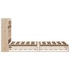 vidaXL Bookcase Bed without Mattress 100x200 cm Solid Wood Pine