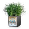 LECHUZA Planter CUBE Cottage 50 ALL-IN-ONE Granite